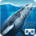Sea World VR2