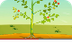 Life processes-Photosynthesis