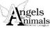 Volunteering at Angels For Ani