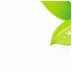 Blogs: Mvonzin