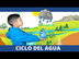 El Ciclo Del Agua | Videos Edu