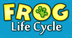 Frog Life Cycle Lesson for Fir
