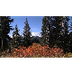Mount Rainier National Park