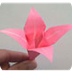 Origami Instructions - Instruc