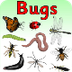 Insecten verzamelgids