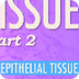 Tissues, Part 2 - Epithelial T