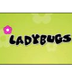Ladybugs - PrimaryGames.com - 