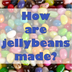 How Are Jelly Beans Made?