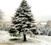 Light Up Christmas With A Magl