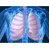 Respiratory System  