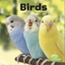 Birds Ebook