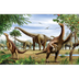 Dinosaur Pictures for Kids - F