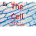 The Cell - an intro for kids -