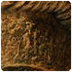 basis concepten