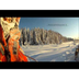 Inside the Iditarod.wmv - YouT