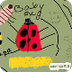 Stages of a ladybug - YouTube