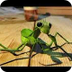 Empatia-mantis