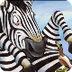SafeShare.tv - Zippy the Zebra