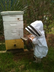 Bee Sustainability