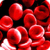 Blood Facts - Interesting Fact