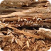 Sydney Termite Inspection