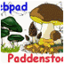webpad-paddenstoelen.yurls.net