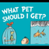 What Pet Should I Get by Dr. S