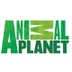 600 ANIMAL PLANET - tv chacal