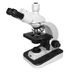 Microscope