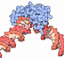 TATA binding protein