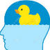 Ducksters Brain