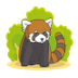 Red Panda-Endangered animals l