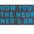 Neuroscience Behind Ned's Gr8 