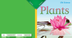 32 Plants 2.pdf - Google