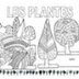 Unitat Didàctica - Plantes