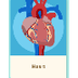 Circulatory System 6th Grade D
