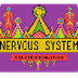 The Nervous System - CrashCour
