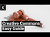 Creative Commons Licenses, Exp