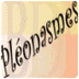 Pléonasmes