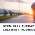 Stem Cell Therapy: Dr. David G