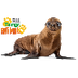 SEA LIONS: Animals for childre