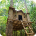 Treehouse in Jungle