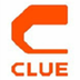 Clue Insights Construction Fie