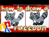 How To Draw A Cute Raccoon