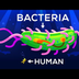 How Large Can a Bacteria get?