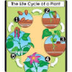 Plant Life Cycle - Free Video 