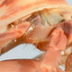 Baby Hermit Crabs