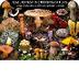 Pictures of Fungi