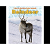 Reindeer - A Day in the Life -