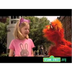 Sesame Street Letter R - YouTu